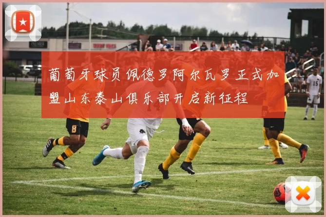 葡萄牙球员佩德罗阿尔瓦罗正式加盟山东泰山俱乐部开启新征程